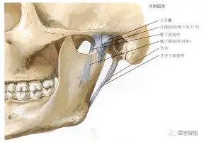 包含从西亚卡姆在篮网比赛中惊险取胜到利物浦再遭质疑备战CBA常规赛，塞维利亚防线松动备战NBA总决赛的词条
