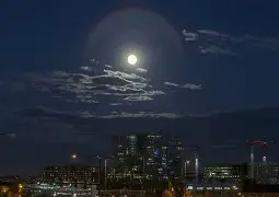  纽卡斯尔足球俱乐部 